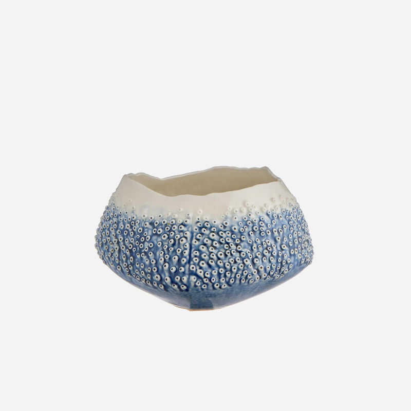 Porifera Bowl Blue
