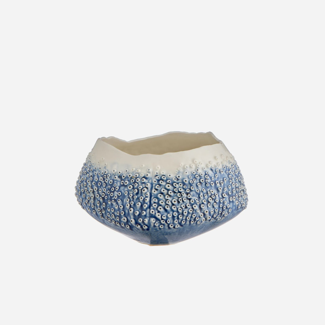 Porifera Bowl Blue