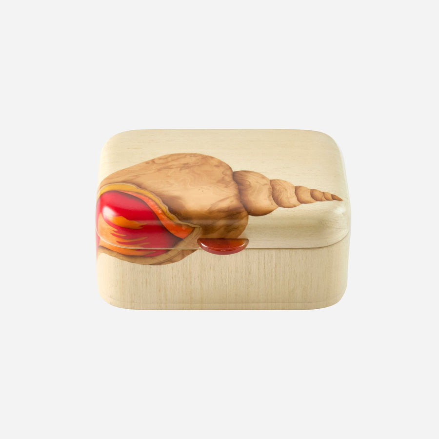 Silvia Furmanovich Oceana Marquetry Box