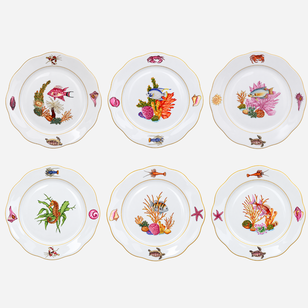 Bermuda Fishes Dinner Plate - Set of 6