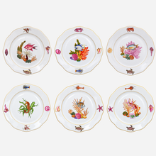Bermuda Fishes Dinner Plate - Set of 6