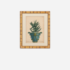 An Antique Set of 4 Framed Aloe Botanical Study Prints by Johann Wilhelm Weinmann