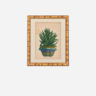 An Antique Set of 4 Framed Aloe Botanical Study Prints by Johann Wilhelm Weinmann
