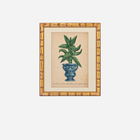 An Antique Set of 4 Framed Aloe Botanical Study Prints by Johann Wilhelm Weinmann