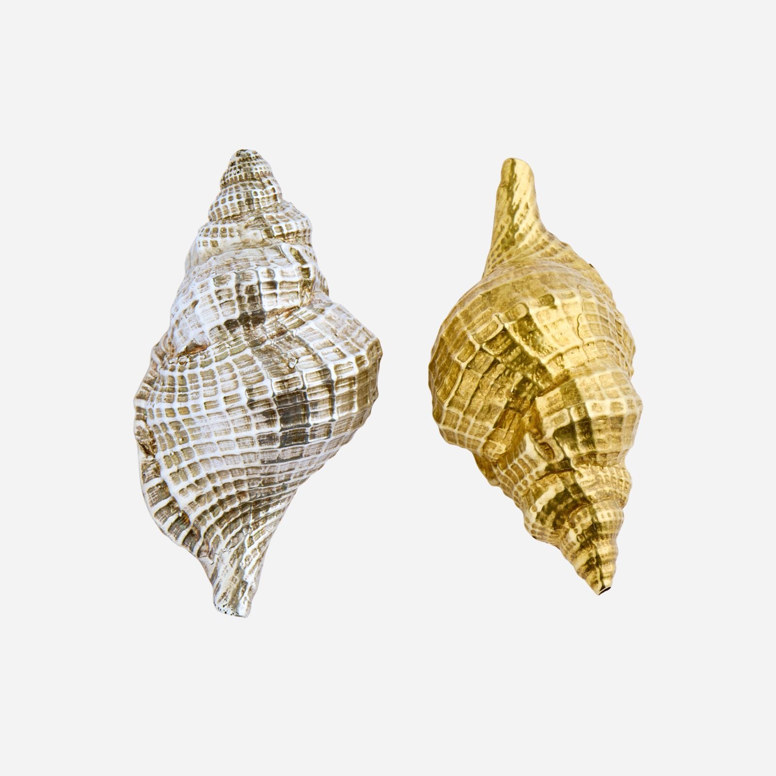 Silver & Gold Shell Salt & Pepper Set