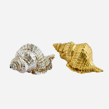Silver & Gold Shell Salt & Pepper Set