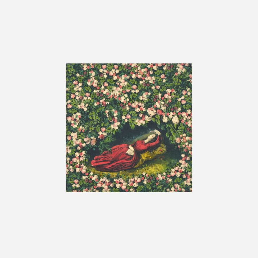 Summerill & Bishop Sleeping Beauty Linen Napkin