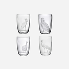 Exotic Birds Tumbler - Set of 4