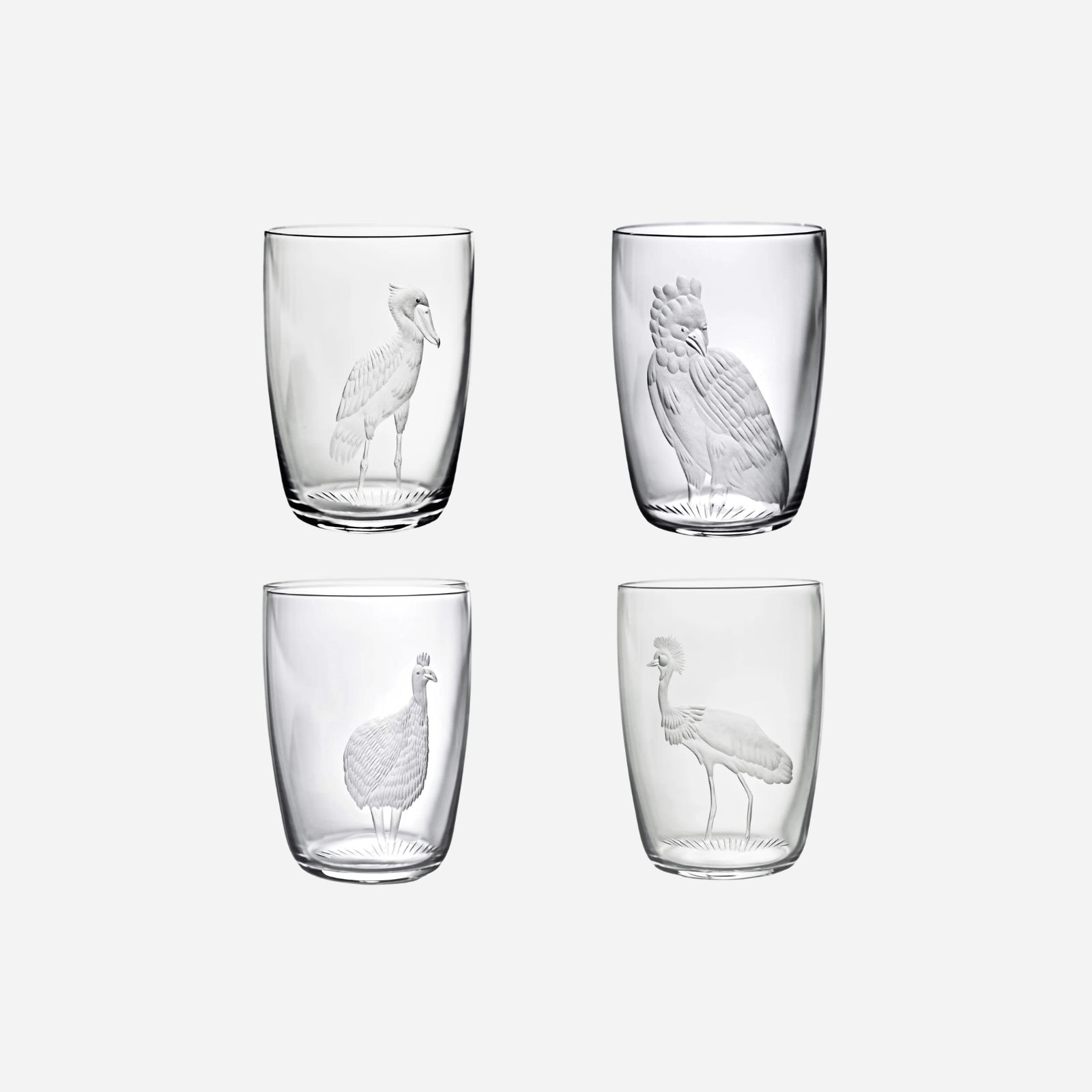 Exotic Birds Tumbler - Set of 4
