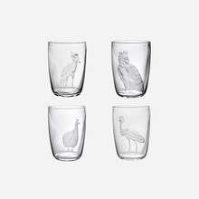 Exotic Birds Tumbler - Set of 4