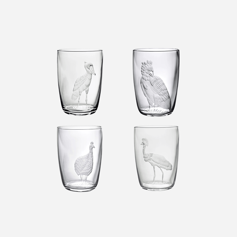 Exotic Birds Tumbler - Set of 4