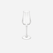 Load image into Gallery viewer, Twist 1586 Young Spirits Glass
