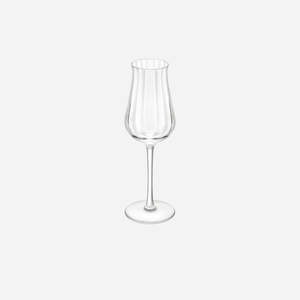 Twist 1586 Young Spirits Glass
