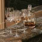 Twist 1586 Young Spirits Glass