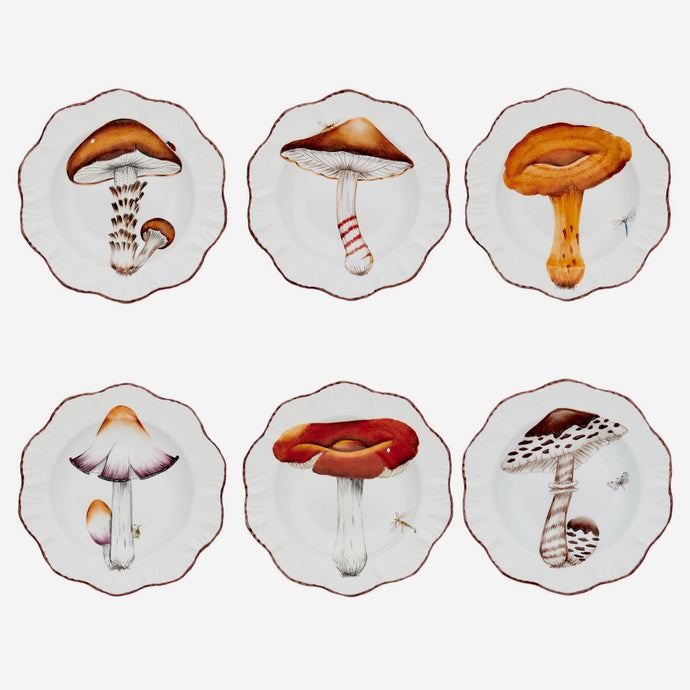 Les Champignons handpainted soup plates alberto pinto bonadea