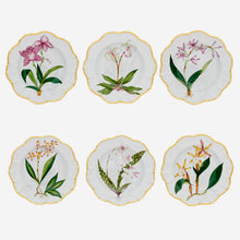 Load image into Gallery viewer, alberto pinto hand painted histoires orchidees plates bonadea
