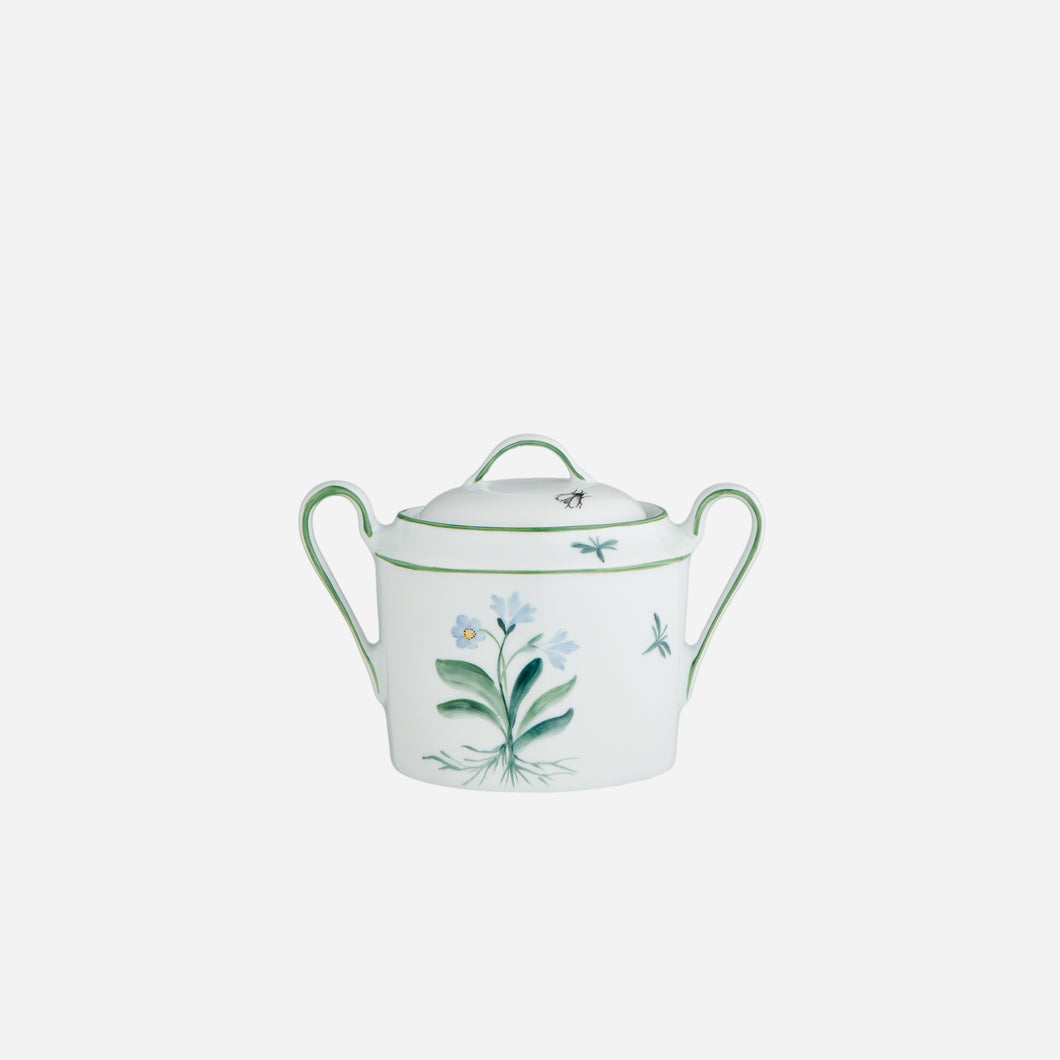 Botanique Sugar Bowl Bonadea