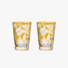 verdure amber set of 2 tumblers