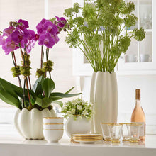 Load image into Gallery viewer, Aerin Mirabelle Cachepot Cream Bonadea
