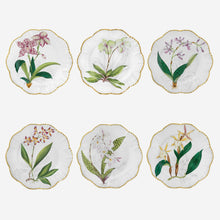 Load image into Gallery viewer, Histoires d&#39;Orchidées Set of Six Dinner Plates
