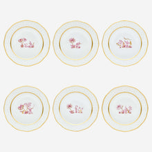 Load image into Gallery viewer, Fodo Dinner Plate Pink - Set of 6
