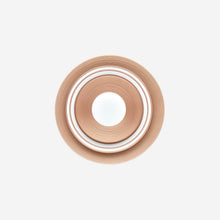 Load image into Gallery viewer, Hémisphère Metallic Pink Striped Dinner Plate
