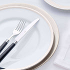 Legle Limoges | Alliance Platinum Dinner Plate