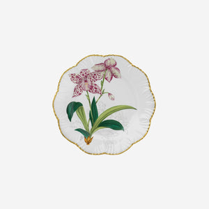 Alberto Pinto | 'Histoires d'Orchidées' Set of Six Handpainted Dinner Plates