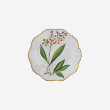 Load image into Gallery viewer, Alberto Pinto | &#39;Histoires d&#39;Orchidées&#39; Set of Six Handpainted Dinner Plates
