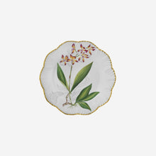 Load image into Gallery viewer, Histoires d&#39;Orchidées Soup Plates - Set of 6
