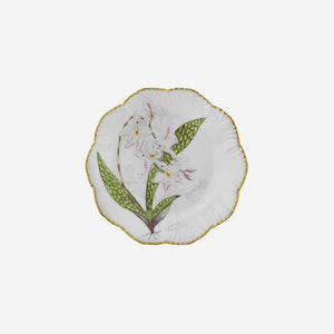Alberto Pinto | 'Histoires d'Orchidées' Set of Six Handpainted Dinner Plates