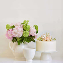 Allette Small Pedestal Cream