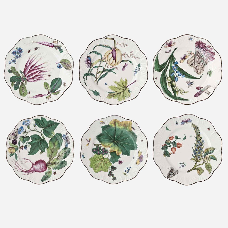 Alberto Pinto Feuillages Dinner Plates - Set of 6