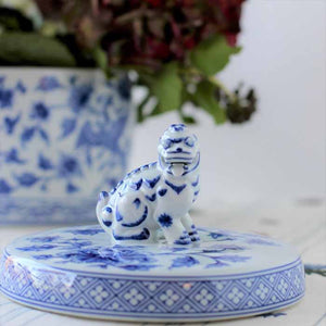 blue and white food dog bonadea 