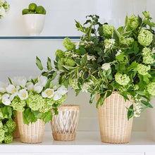 Freya Wicker Vase - Small aerin bonadea