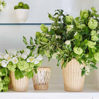 Freya Wicker Vase - Large