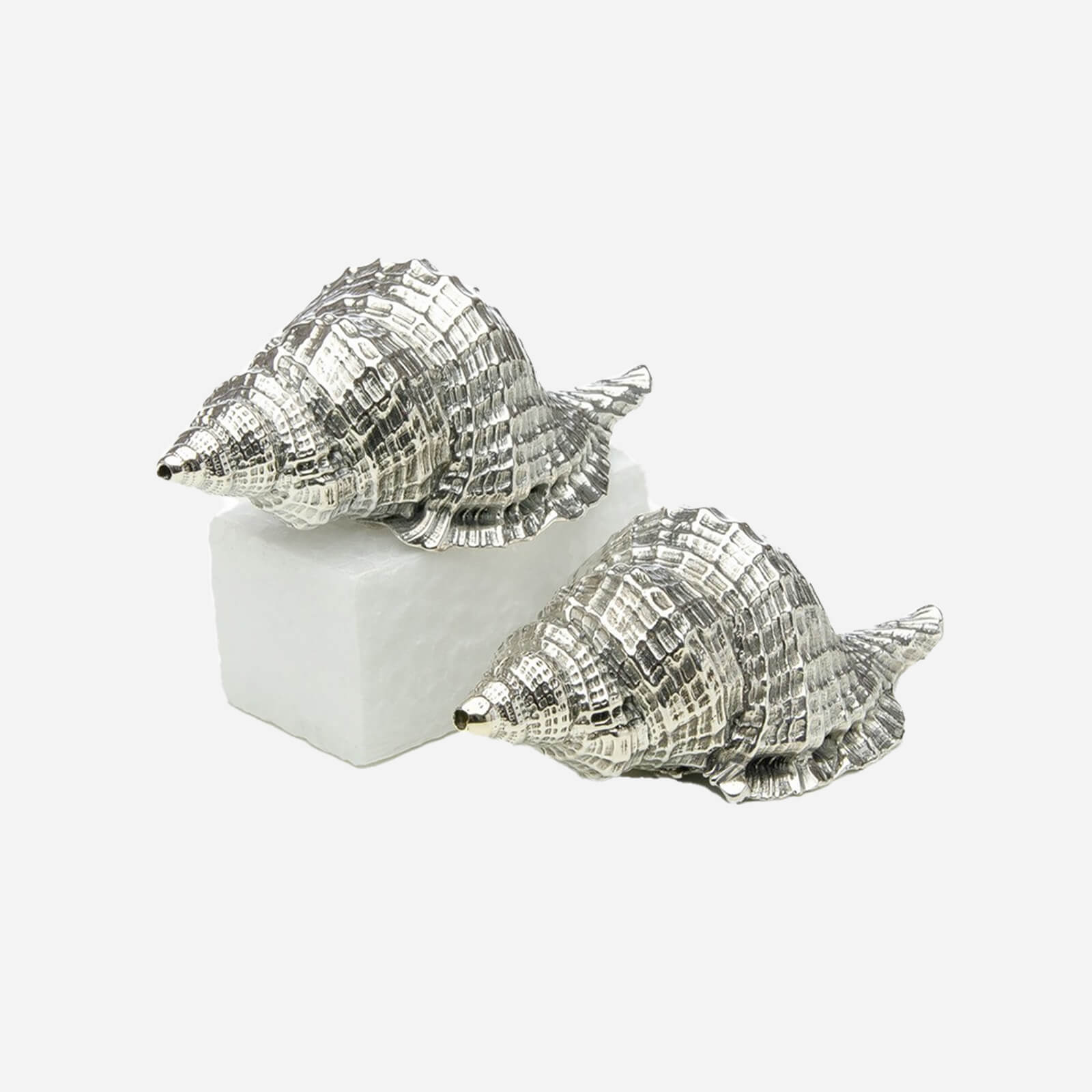Silver Shell Salt & Pepper Shakers jarosinski and vaugoin bonadea