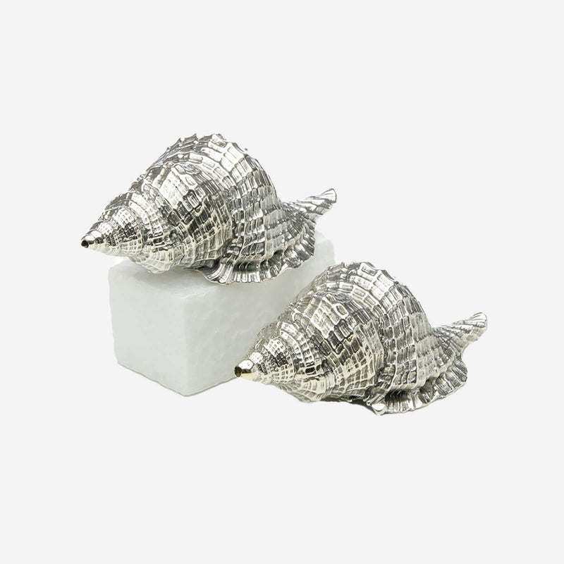 Silver Shell Salt & Pepper Shakers jarosinski and vaugoin bonadea