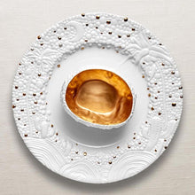 Haas Mojave Desert Gold Charger