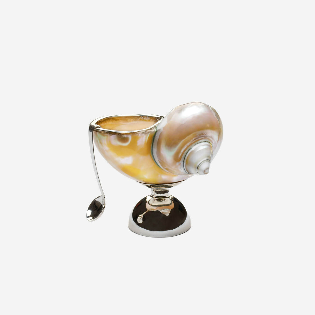 Mother of Pearl & Silver Shell Salt Cellar with Spoon