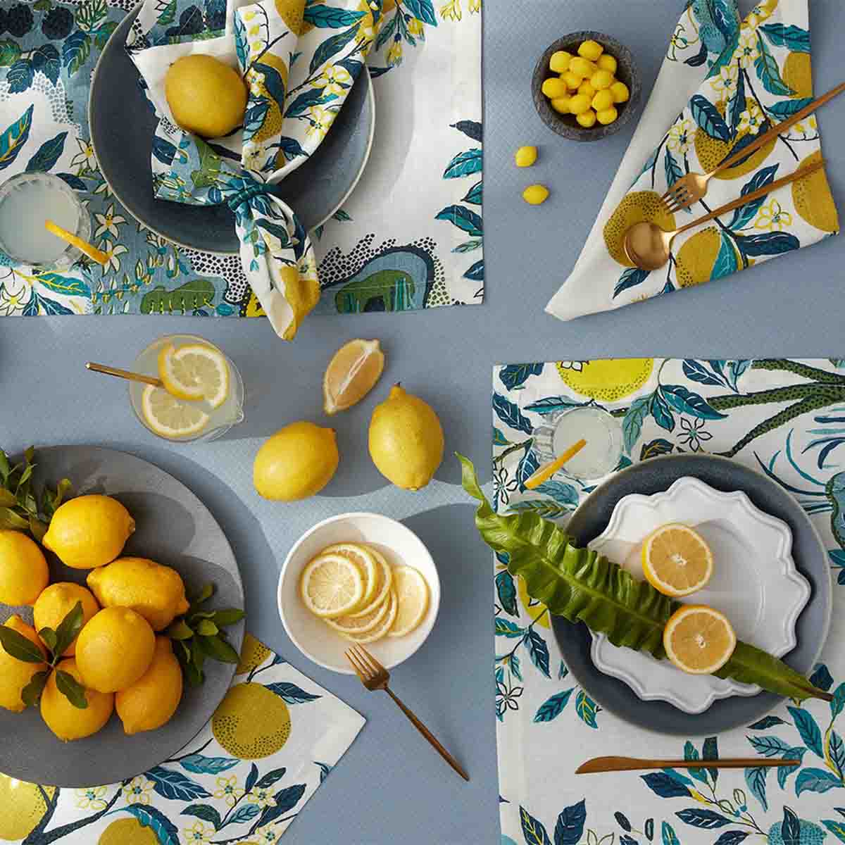 Citrus Garden Napkin - Set of 4