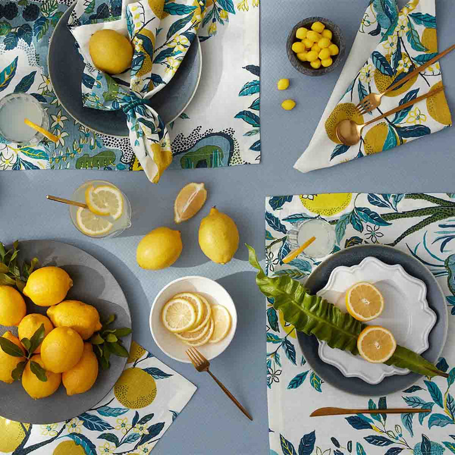 Schumacher Citrus Garden Placemat - Set of 4